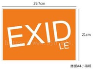 EXID LE 海報 / 海報訂製