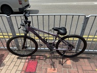 紫色山地單車 爬山單車