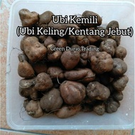 UBI KEMILI (UBI KELING / KENTANG JEBUT)