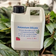 Potassium Silicate โปแตสเซียมซิลิเกต ชนิดน้ำเข้มข้น บรรจุ 1 ลิตร