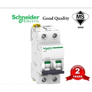 Schneider Easy9 40A 63A 2 Pole MCB 4.5KA