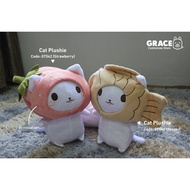 Cat Plushie (Removeable hat)