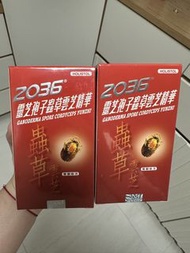 （2盒可包順豐櫃）2036靈芝孢子蟲草雲芝精華60粒裝