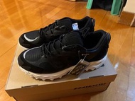 mizuno wave mujin tl gtx