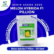 Seeds PILLIONmelon 100 Seeds - ASANA Seed