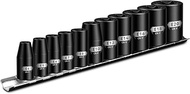 BLACKROBOT E Torx & Star Socket Set With Rail, 11-Piece Female External Sockets, 3/8" 1/4" Drive Pre