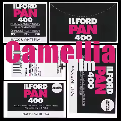 High Contrast Coarse Humanistic Recording Ilford Film PAN 400 135 Black and White Negative 35mm Film