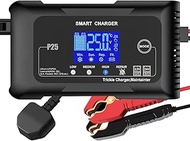 25A Car Battery Charger 12V/24V LiFePO4 Battery Charger, Battery Maintainer and Battery Desulfator w