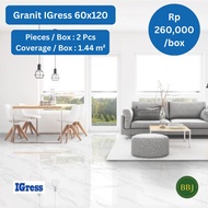 Granit IGress 60x120