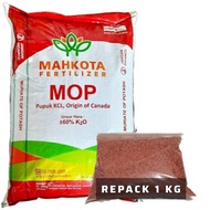 Pupuk KCL mahkota Kalium Klorida 1kg