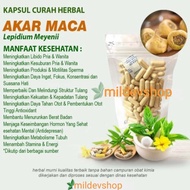 Akar MACA 100 kapsul curah herbal Stamina Libido Kesuburan Hormon Pria