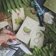 【療癒植物神諭卡】結合植物圖鑑 × 療癒卡牌