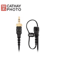 Rode Lavalier II Microphone