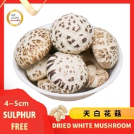 White Flower Dried Mushroom日本级天白花菇Japanese variety白花菇 Premium Tian Bai White Mushroom (4-5cm) 100g~2