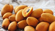 🔥SALE 12.12🔥BUAH CIKU MADU MEGA SIZE XXL SEGAR DARI LADANG
