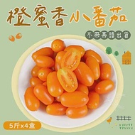 【禾鴻】橙蜜香小番茄禮盒5斤x4盒(不帶蒂頭出貨) 下單後7個工作天出貨