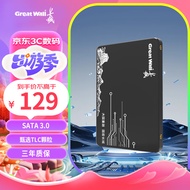长城（Great Wall) 240GB SSD固态硬盘 SATA3.0接口 读速520MB/S台式机/笔记本通用 GW520系列