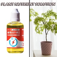 1PCS Plant Growth Enhancer Supplement Root Stimulator Rooting Hormone for Transplant&-*&&-*--&&-