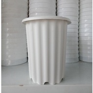 JMP 18 White Tall Flower Pot - Ruplas