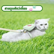 shophome468 DUDUPETS Pet Leash Model S01-M Size 9.5x10x120cm.green Authentic