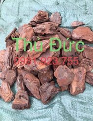 10 kg Vỏ thông PINE BARK 4x6 (cm) bo tròn đã qua xử lý