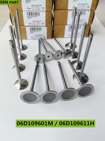 OEM Engine Intake & Exhaust Valves Set 6mm For Audi A4 A5 VW Tiguan Passat 1.8T 2.0T 079109601B 0791