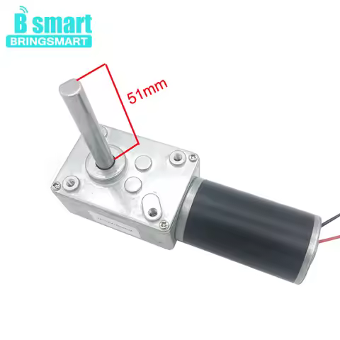 DC 24V Worm Geared Motors High Torque 12V Volt DC Motor Customized Reduction Motor Self-Lock Extensi