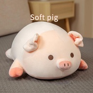 Toy Piggy Piggy Plush Plush
