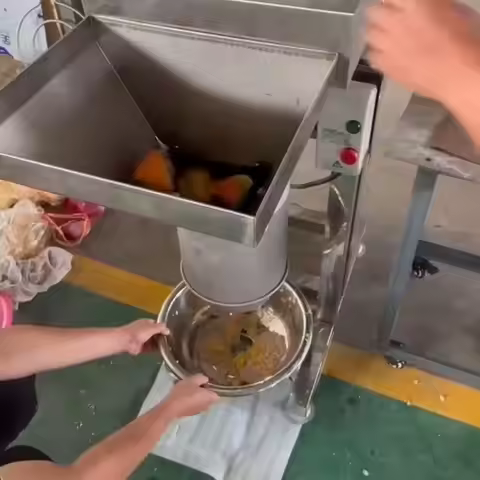 Chili Ginger Garlic Chop Grind Grinder Crusher Fresh Fruit And Vegetable Paste Make Machine For Home