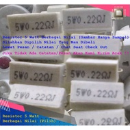 Resistor 5Watt 5W 5 Watt Chalk White Various Values Ohm Size (see description)