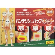 [第2類醫藥品] Vantelin Kowa 退燒貼片 12片