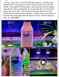 [TẶNG MEN TIÊU HOÁ]Cám cá vàng Mega Jumbo hạt chìmgiúp cá tăng trưởng màu dễ tiêu hoá