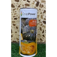 Benih Labu/Pumpkin PK88 CROP POWER Hybrid F1 (200gm)