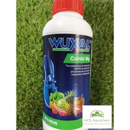 (+-1L) baja foliar Wuxal Combi Mg