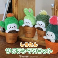 日本Sirotan 香港代理 毛公仔海豹公仔海獅 公仔 日本公仔 Sirotan 海豹海獅 日本精品 Sirotan公仔 小朋友公仔 絨毛公仔 仙人掌公仔 仙人掌 仙人掌系列Sirotan絨毛公仔 柱