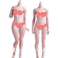 AT201 1/6 MJD Joints Movable Body Model Accessories