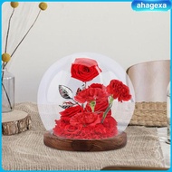[Ahagexa] Glass Ball Shape Dome Centerpiece Home Round Glass Cloche Globe