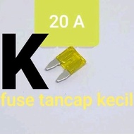 Small Plug-in Fuse 20A (Pius Fuse Flat Plug Fuse 20 A Ampere 12V 24V 36V 48V 58V Car Motorcycle Dc E