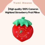 【Malaysia Ready Stock】High quality 100% Cameron Highland Strawberry Fruit Pillow
