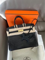 Hermes Birkin 25 Matt霧面兩點鱷