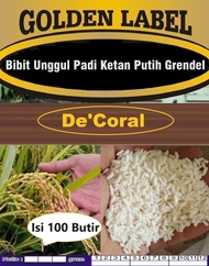 Bibit Unggul Padi Ketan Putih Grendel | Biji Benih Padi Ketan Putih