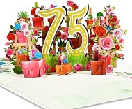 GREETING ART 75th Birthday Pop Up Card for Women Men,75th Birthday Card,75th Birthday Decorations, 7