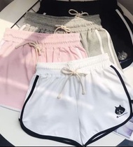 日本預訂 champion x nya ne-net 貓 運動短褲