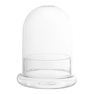 Glass Display Cloche Dome Terrarium Glass Tabletop Air Planter Holder Container for Home Garden Decor