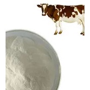 Bovine Collagen Powder 250g Food Grade Serbuk Kolagen Lembu 牛胶原蛋白粉 - Yak Bone Grass Fed