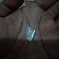 Mustika ikan kakap putih