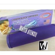 Water FILTER PART, CTO ALKALINE ENHANCER WATERCURE 10".inch CARBON BLOCK