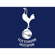 Match Attax &amp; Panini Club Tottenham Football Card Set