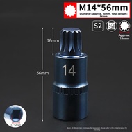FENGHONGTAO | 12 Point Star Torx Socket Set