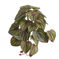 【Exclusive】 Plants Leaves Artificial Terrarium for Hermit Lizards Geckos Habitat Decor